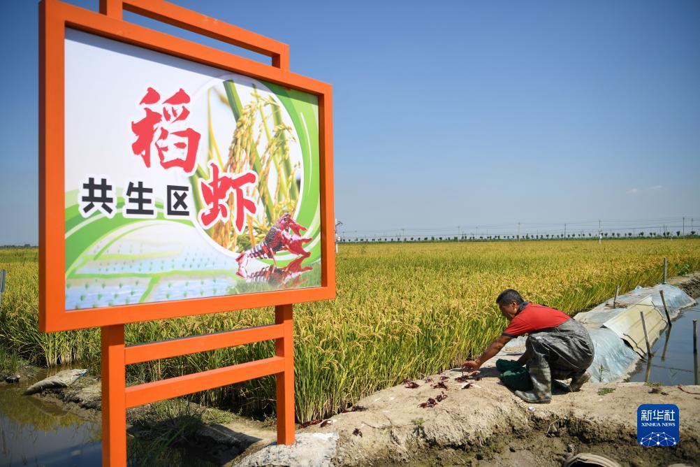 网赌下载苹果版
